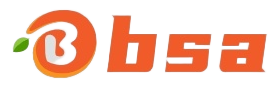 bsallinreadinss